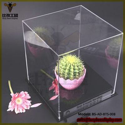 Clear Plexiglass Display Acrylic Box with Hinged Lid